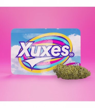 Cañamo Cbd Xuxes Amnesia 3 gr.