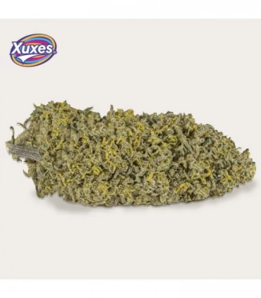 Cañamo Cbd Xuxes Amnesia 3 gr.