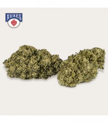 Cañamo Cbd Xuxes Apple Jack 3 gr.