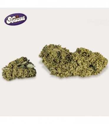 Cañamo Cbd Xuxes Cookies 3 gr.