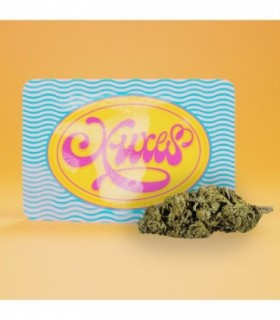 Cañamo Cbd Xuxes Gelato 3 gr.