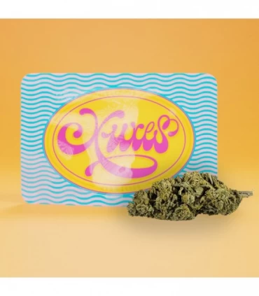 Cañamo Cbd Xuxes Gelato 3 gr.