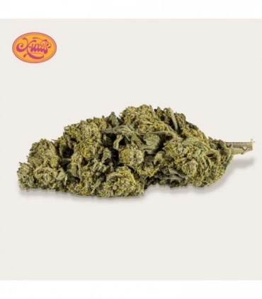 Cañamo Cbd Xuxes Gelato 3 gr.