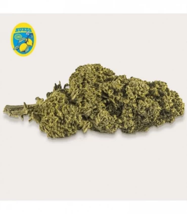 Cañamo Cbd Xuxes Lemon 3 gr.
