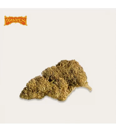 Cañamo Cbd Xuxes Somango 3 gr.