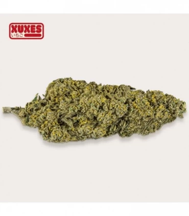Cañamo Cbd Xuxes Strawberry 3 gr.
