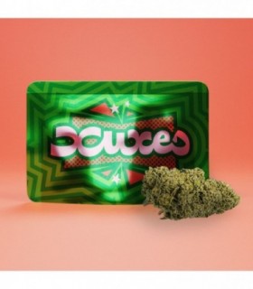 Cañamo Cbd Xuxes Watermelon 3 gr.