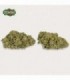 Cañamo Cbd Xuxes Watermelon 3 gr.