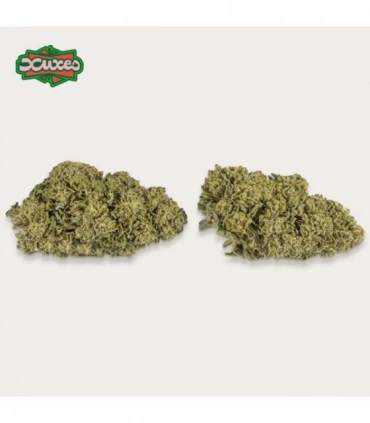 Cañamo Cbd Xuxes Watermelon 3 gr.