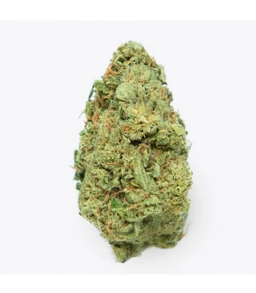 Cañamo Cbd Gorilla Grillz G.House Gelato 5 gr.
