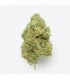 Cañamo Cbd Gorilla Grillz G.House Gelato 5 gr.