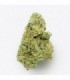 Cañamo Cbd Gorilla Grillz G.House Leroy Jenkins