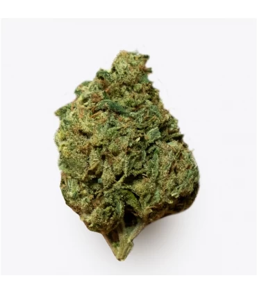 Cañamo Cbd Gorilla Grillz Indoor Banana GG