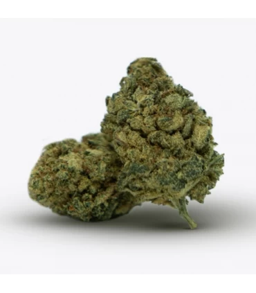 Cañamo Cbd Gorilla Grillz Indoor Forbidden Fruit