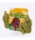 Cañamo Cbd Gorilla Grillz Indoor Gorilla Grillz