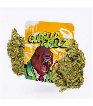 Cañamo Cbd Gorilla Grillz Indoor Gorilla Grillz