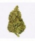 Cañamo Cbd Gorilla Grillz Indoor Gorilla Grillz