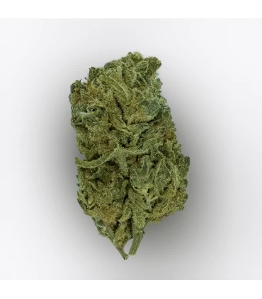 Cañamo Cbd Gorilla Grillz Indoor Wedding Cake