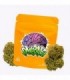 Cañamo Cbd Gorilla Grillz Outdoor Amnesia 47