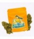 Cañamo Cbd Gorilla Grillz Outdoor Lemon Haze