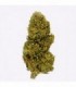 Cañamo Cbd Gorilla Grillz Outdoor Lemon Haze
