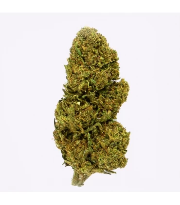 Cañamo Cbd Gorilla Grillz Outdoor Lemon Haze
