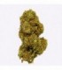 Cañamo Cbd Gorilla Grillz Outdoor Orange Cookies