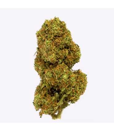 Cañamo Cbd Gorilla Grillz Outdoor Orange Cookies