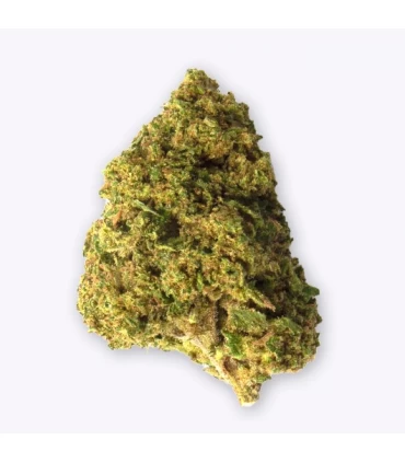 Cañamo Cbd Gorilla Grillz Outdoor Zkittlez