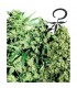 Female Mix - White Label