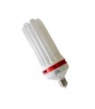 Bombilla CFL Agrolite 250 w Floracion