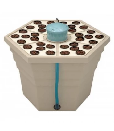 Rainforest 2 2" 12 v  - General Hydroponics  48/72 h.