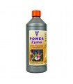 Powerzyme  1 lt. Hesi