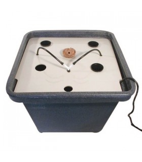 Aerofarm 2'' General Hydroponics  48/72 h.
