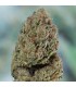 Blueberry Headband - Humboldt