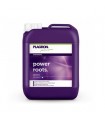 Power Roots  5 lt. Plagron