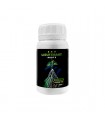 Enraizante Lieutenant Roots 250 ml.