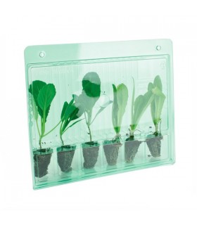 Funda Transporte 6 esquejes