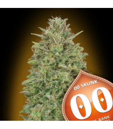 00 Skunk - 00 Seeds.