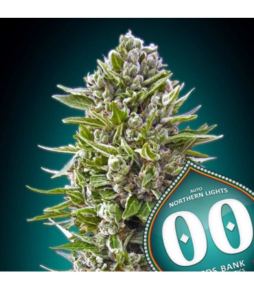 Auto Northern Lights - 00 Seeds