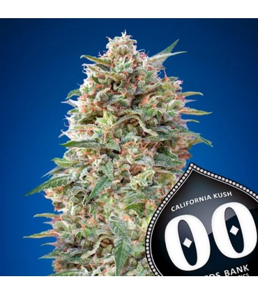 California Kush - 00 Seeds