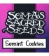 Somint Cookies - Soma Seeds