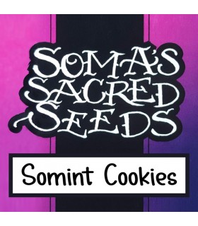 Somint Cookies - Soma Seeds