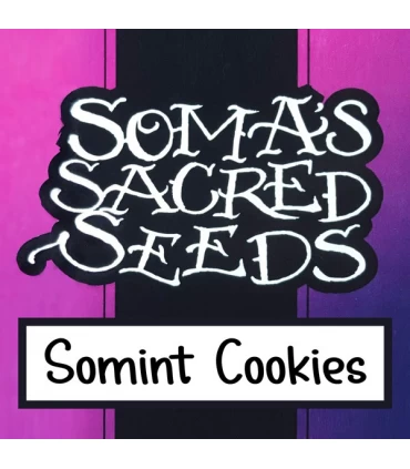 Somint Cookies - Soma Seeds