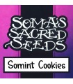 Somint Cookies - Soma Seeds