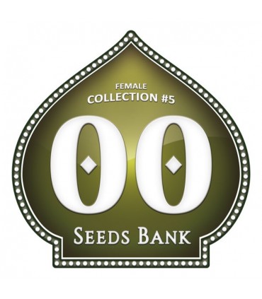 Female Collection 5 - 00 Seeds