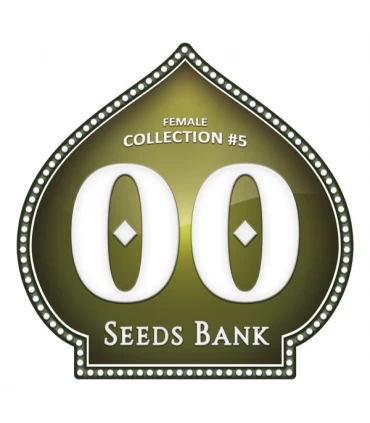 Female Collection 5 - 00 Seeds