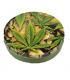 Caja Click Clack 5.5 cm  Cogollos