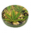 Caja Click Clack 5.5 cm  Cogollos