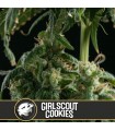 Girl Scout Cookies - Blimburn Seeds.
